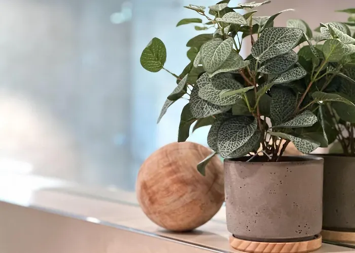 Truly - Viel Platz Für Business&familie - Modern, Garage, Fahrstuhl Augsburgo